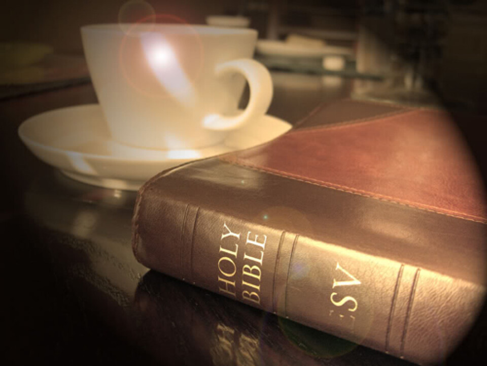 Adult Bible Study | Walk by Faith